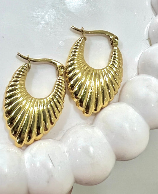 Shell Hoops Earrings